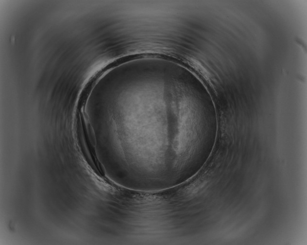 X0000093221072200710031435