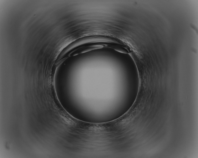 X0000093221073200710031435