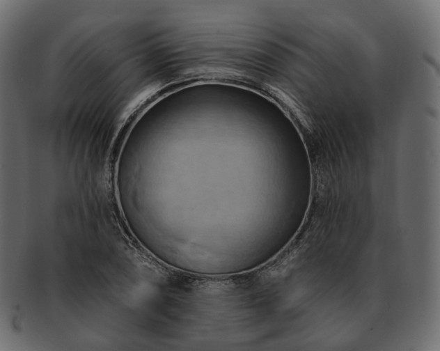 X0000093221074200710031435