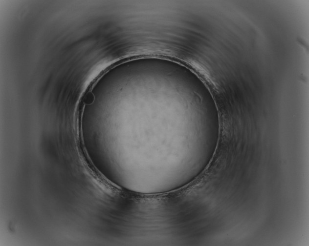 X0000093221078200710031435