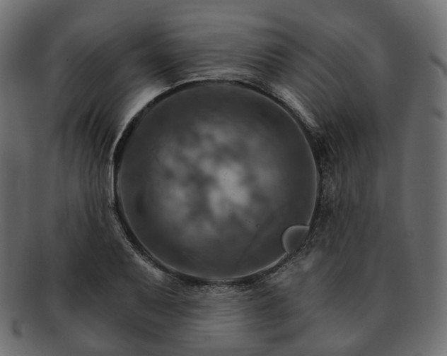 X0000093221079200710031435