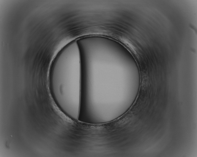 X0000093221080200710031435