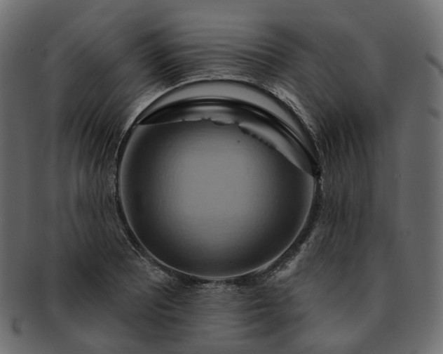 X0000093221081200710031435