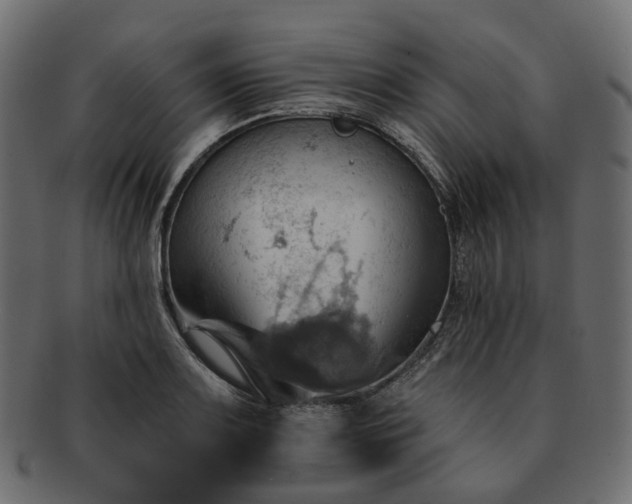 X0000093221083200710031435