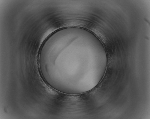 X0000093221086200710031435