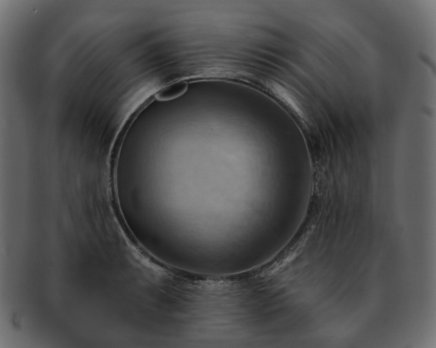 X0000093221087200710031435