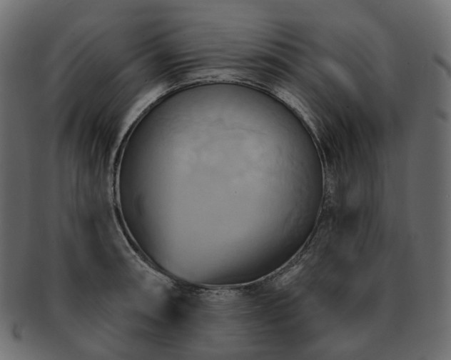 X0000093221090200710031435