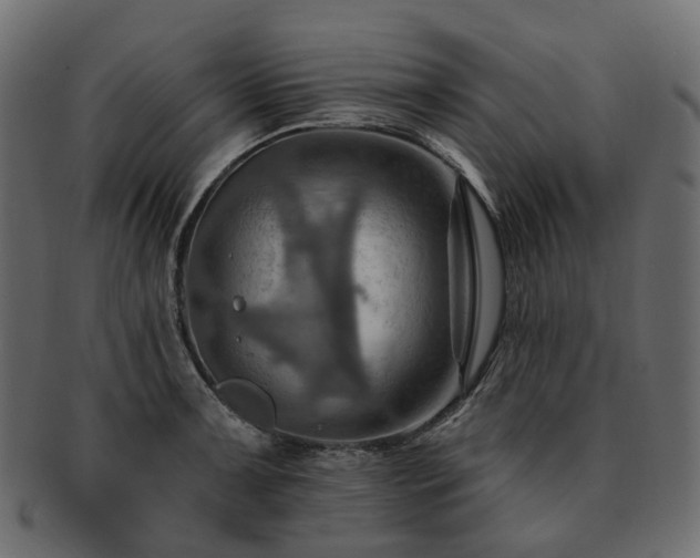 X0000093221091200710031435