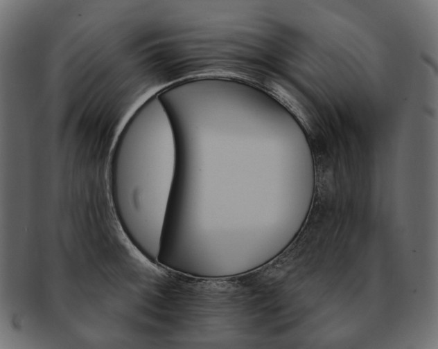 X0000093221092200710031435