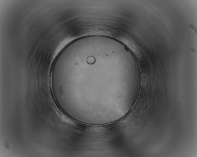 X0000093221094200710031435