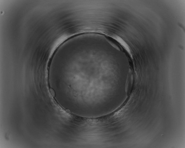 X0000093221096200710031435