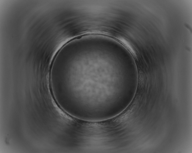 X0000093221100200710031435