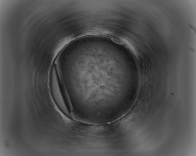 X0000093221103200710031435