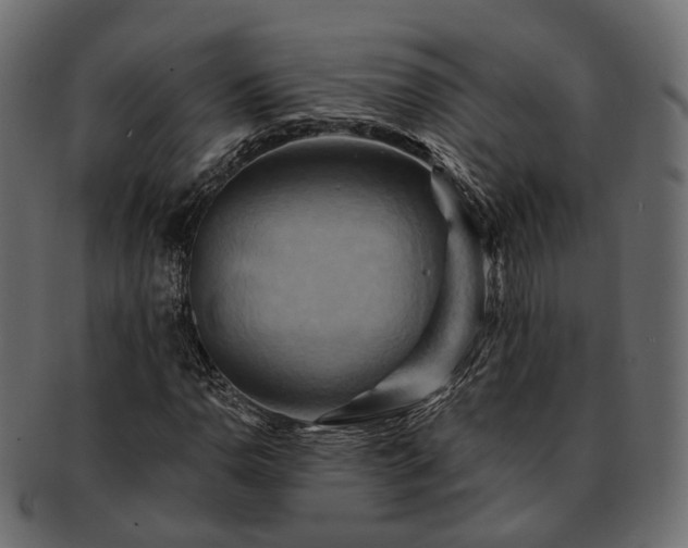 X0000093221110200710031434