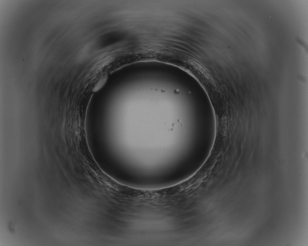 X0000093221111200710031434