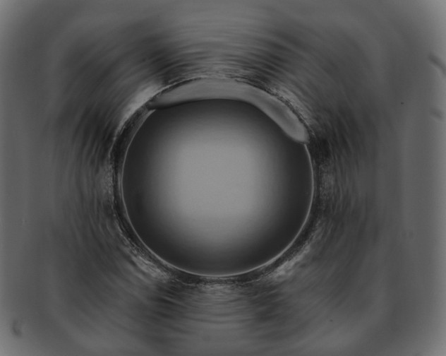 X0000093221114200710031434