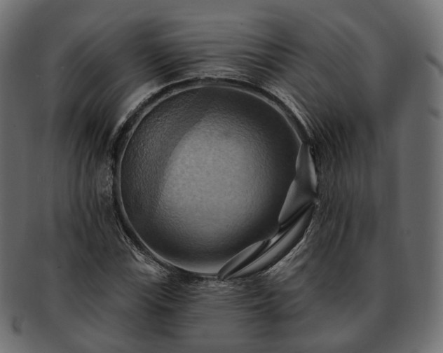 X0000093221115200710031434