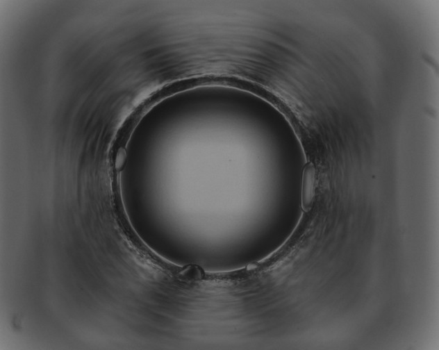 X0000093221118200710031434