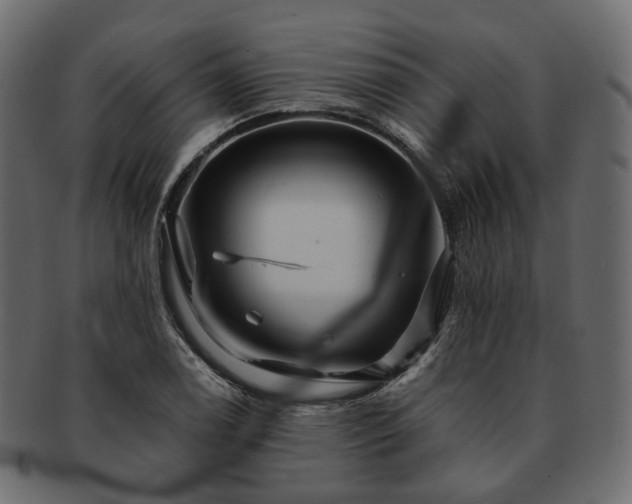 X0000093221122200710031434