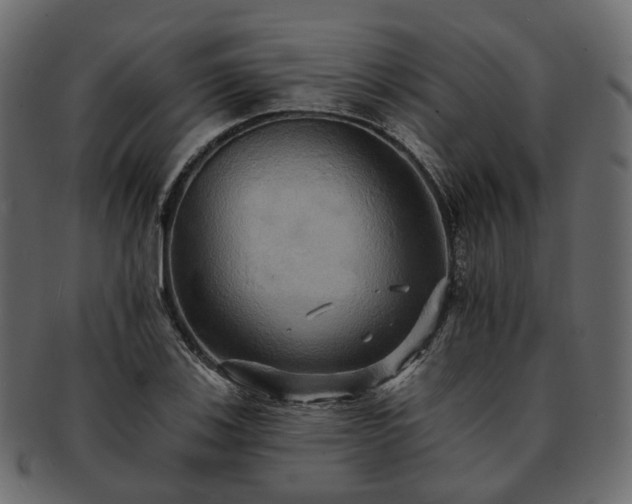 X0000093221123200710031434