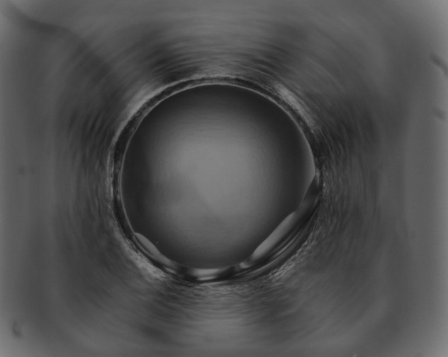 X0000093221124200710031434