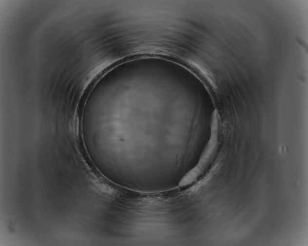 X0000093221125200710031434