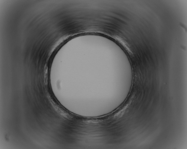 X0000093221126200710031434