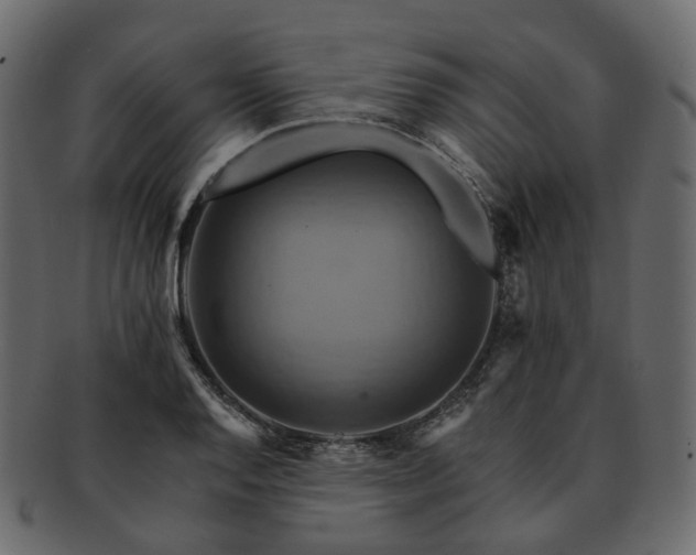 X0000093221128200710031434