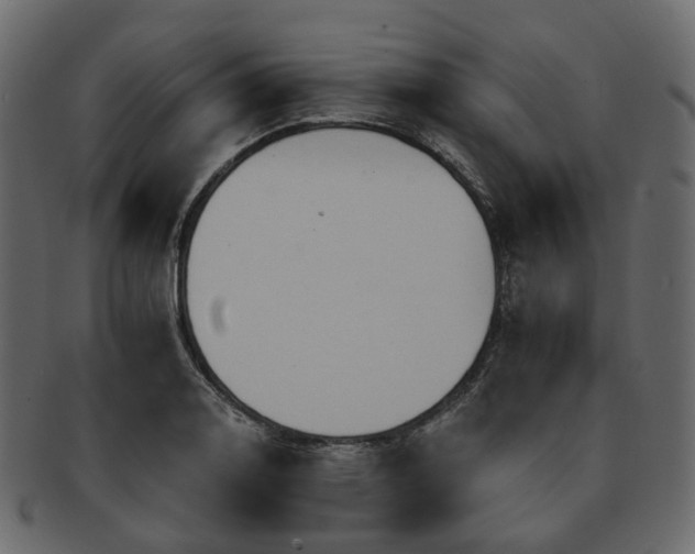 X0000093221130200710031434