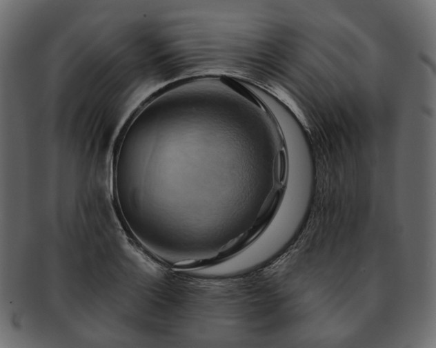 X0000093221132200710031434