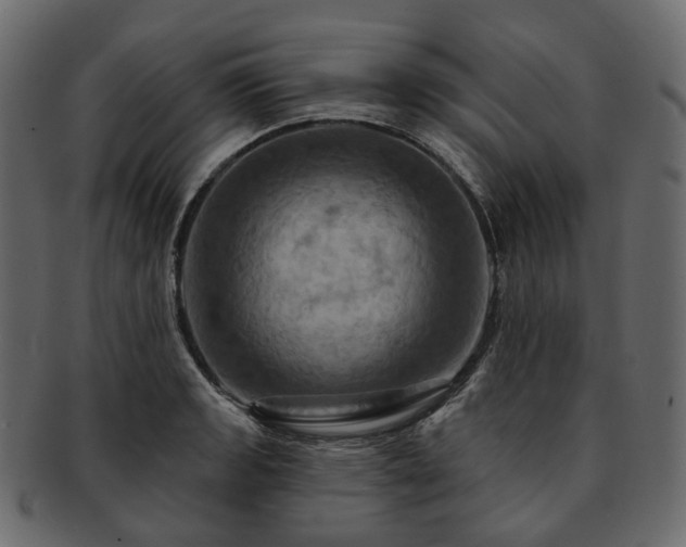 X0000093221133200710031434