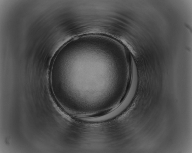 X0000093221134200710031434