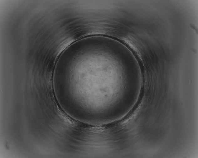 X0000093221137200710031434