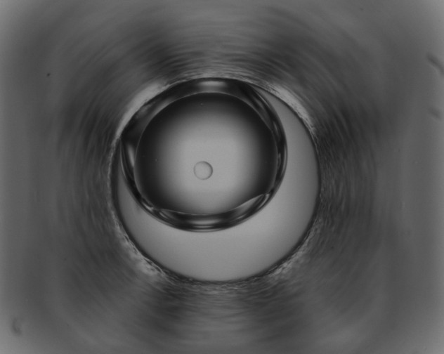 X0000093221138200710031434