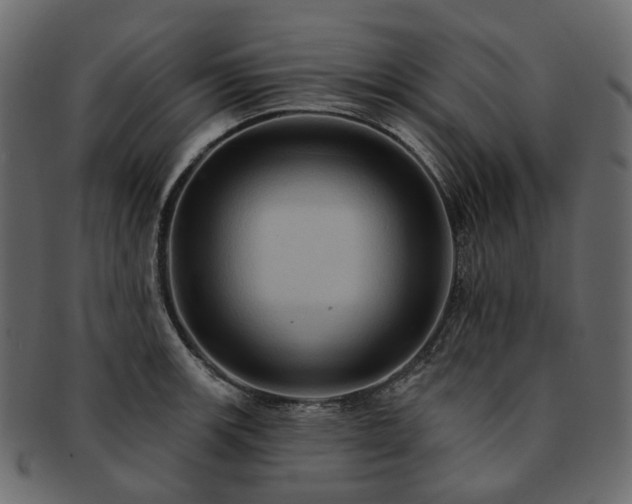 X0000093221139200710031434