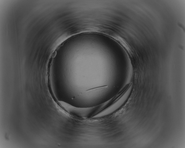 X0000093221143200710031434