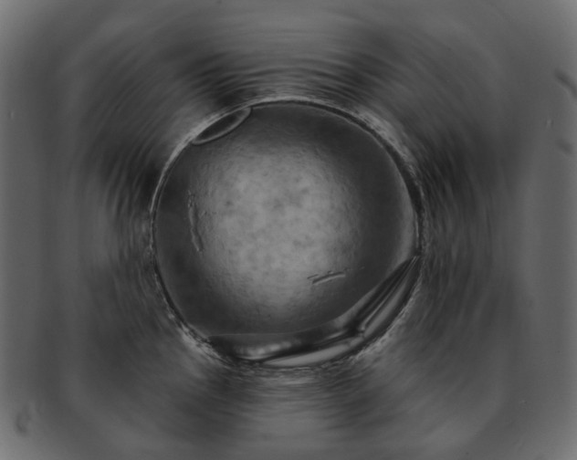 X0000093221145200710031434