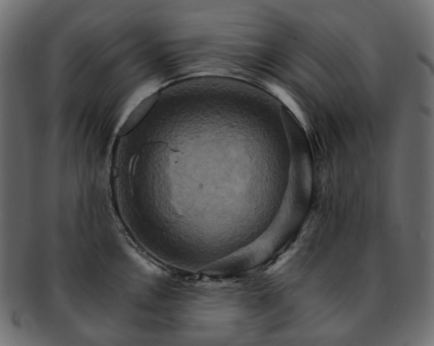 X0000093221146200710031434