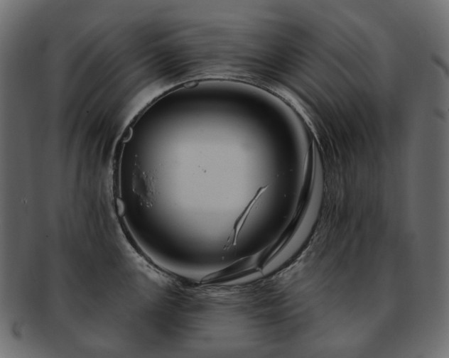 X0000093221147200710031434