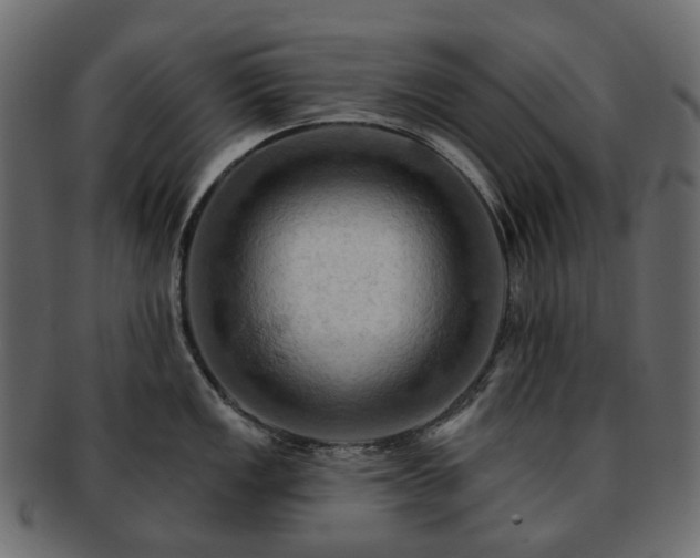 X0000093221149200710031434