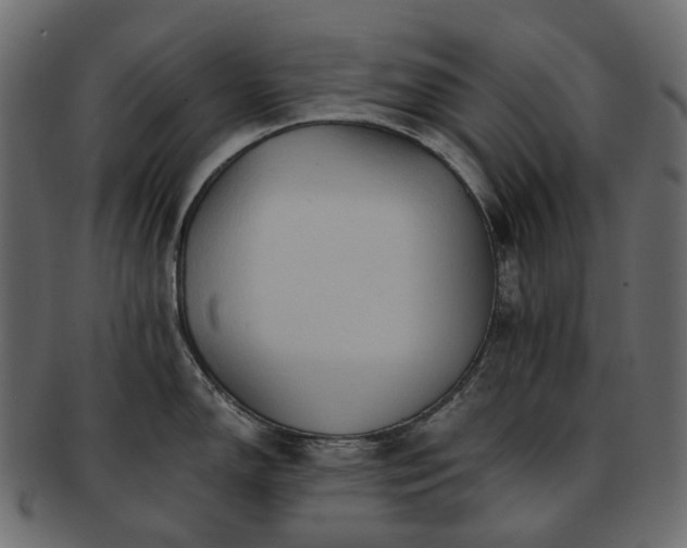 X0000093221150200710031435