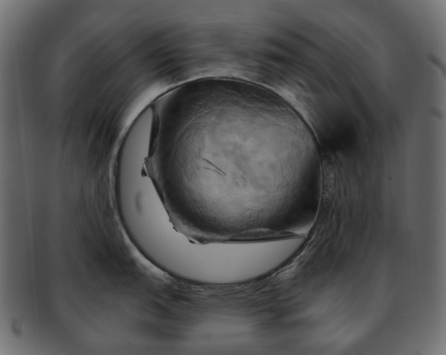 X0000093221151200710031435