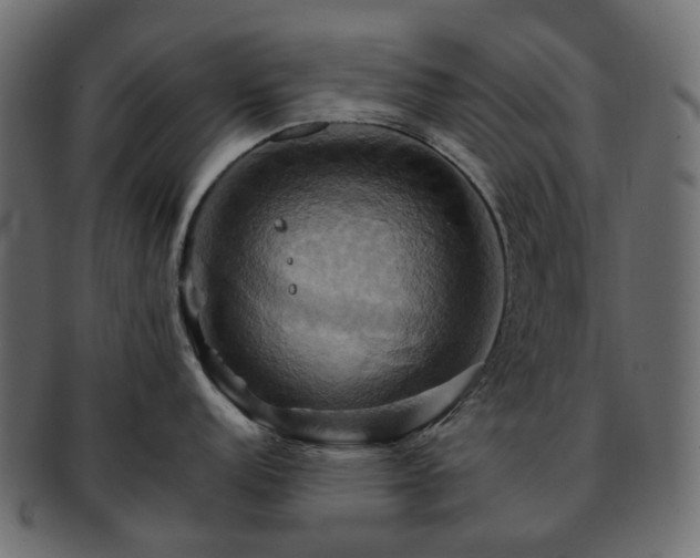 X0000093221152200710031435