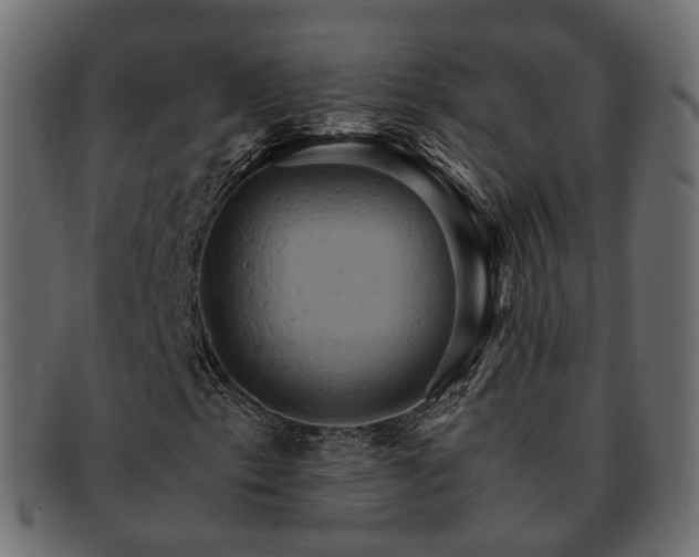 X0000093221153200710031434