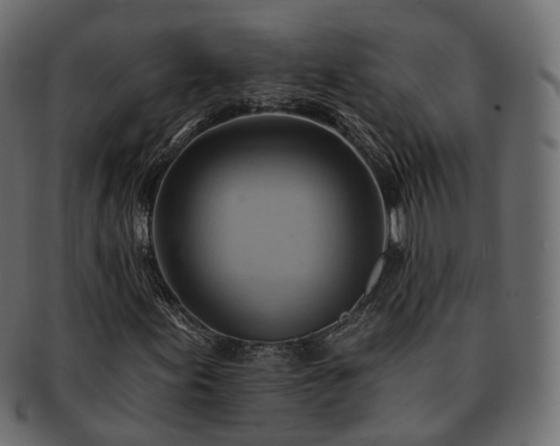 X0000093221155200710031434