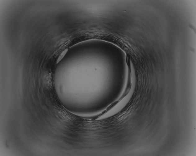 X0000093221156200710031434