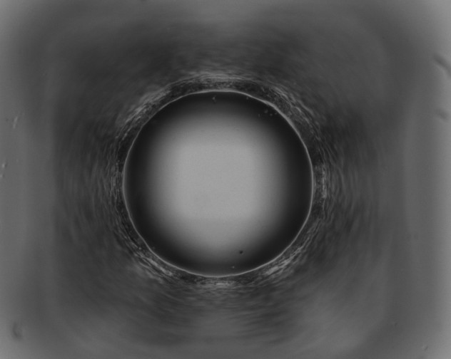 X0000093221157200710031434