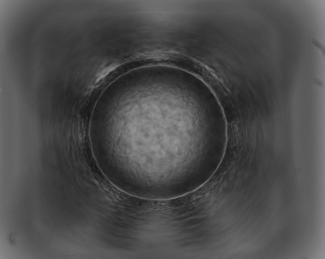 X0000093221158200710031434