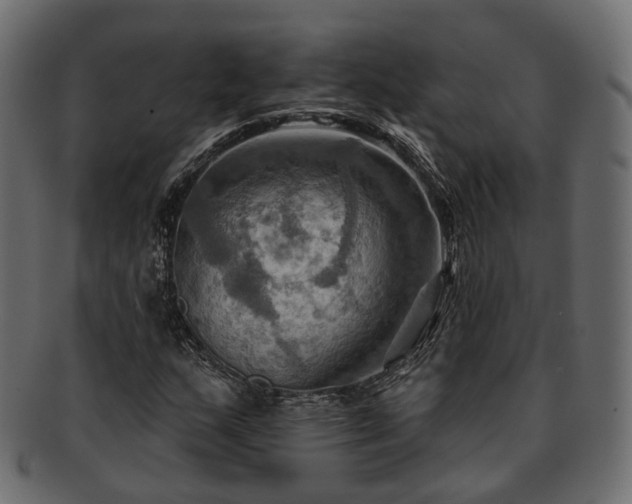 X0000093221159200710031434