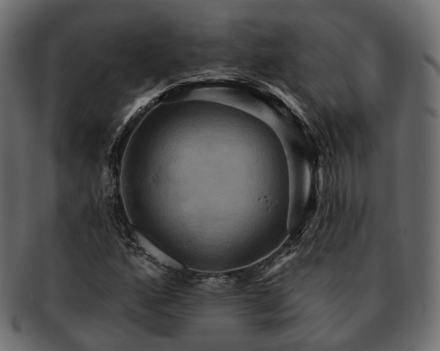 X0000093221160200710031434